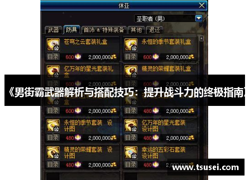 《男街霸武器解析与搭配技巧：提升战斗力的终极指南》