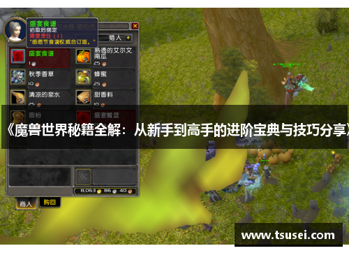 《魔兽世界秘籍全解：从新手到高手的进阶宝典与技巧分享》